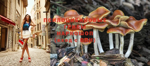дживик Нефтекумск