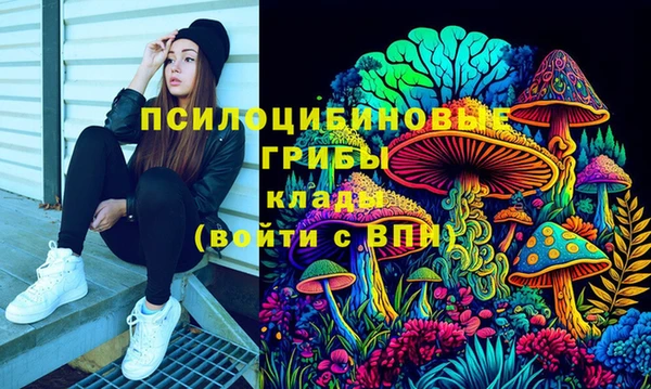 СК Алзамай