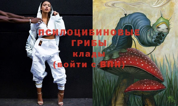 дмт Алексеевка