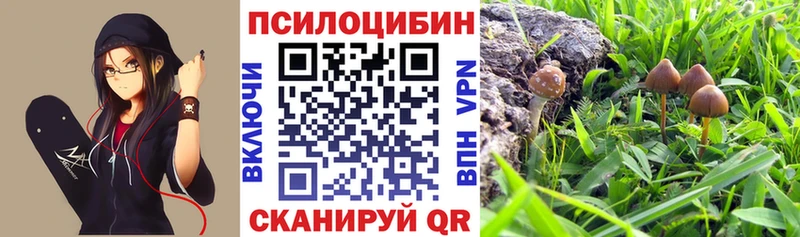 Галлюциногенные грибы мицелий  Болхов 